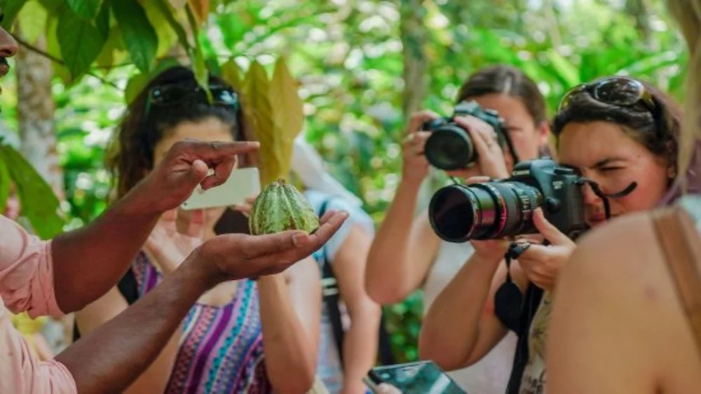 1 Day Zanzibar Spice and Fruit Farm Tour